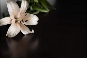 Relieving Your Stress After a Wrongful Death